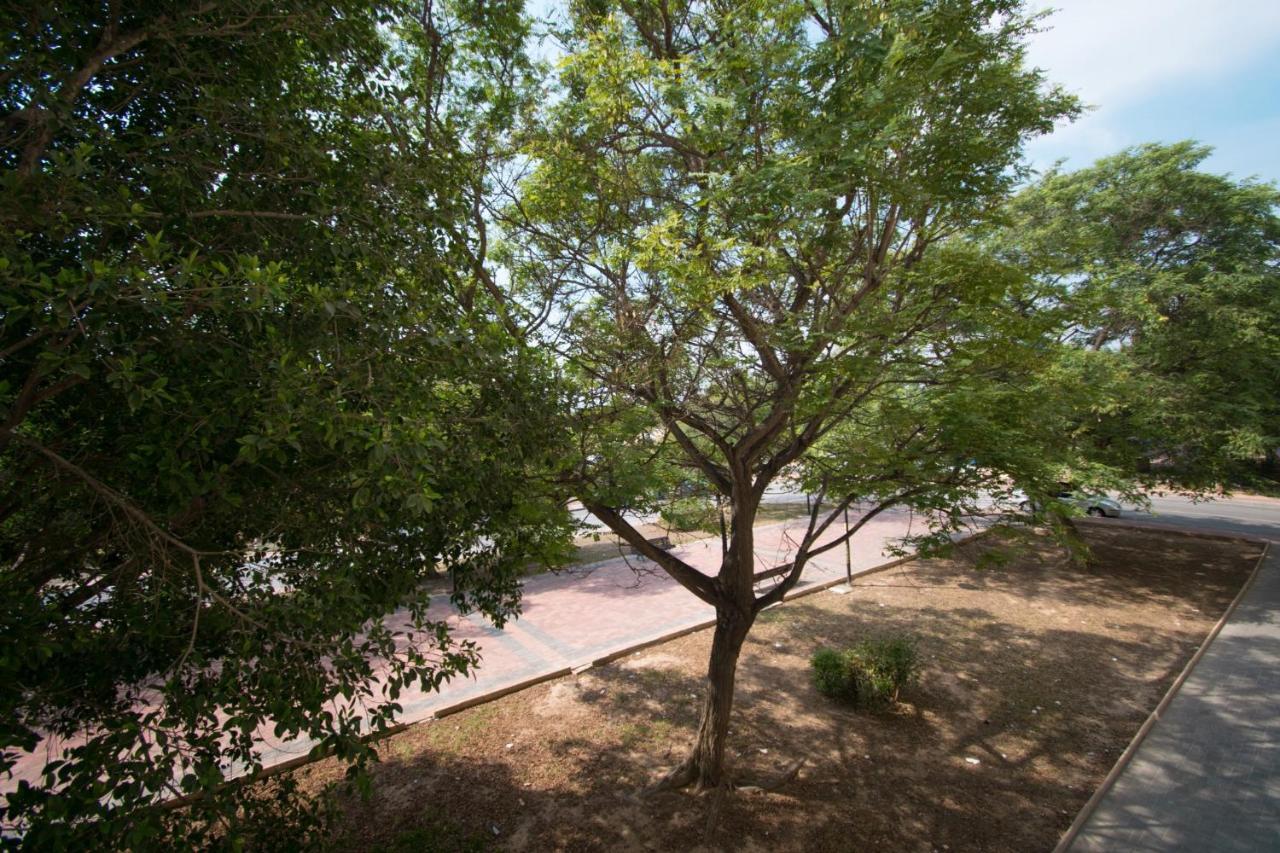 113 Beach And Trees - Alicante Holiday تورّيفيِخا المظهر الخارجي الصورة